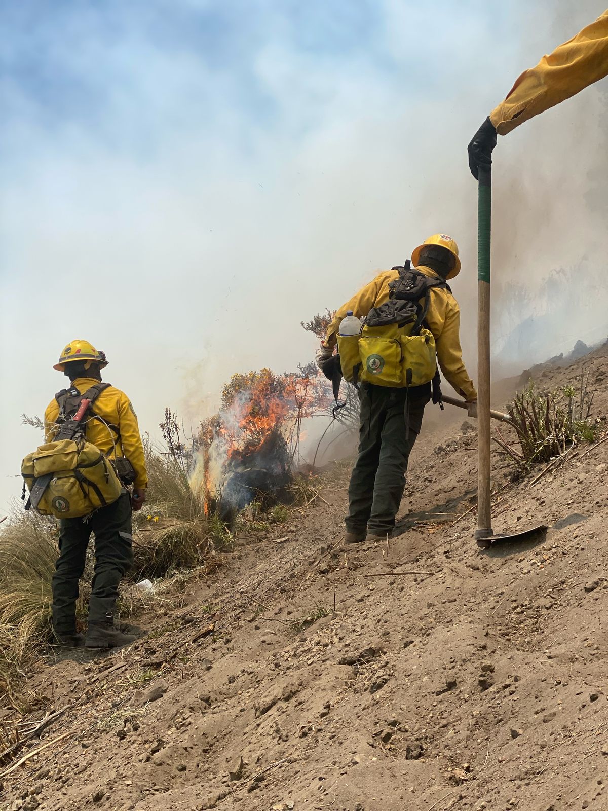 Se restableció la liquidación de los otros incendios en: Xalitzintla, San Nicolás, Cerro Gordo en Tlachichuca y Cerro Prieto en Tepexco