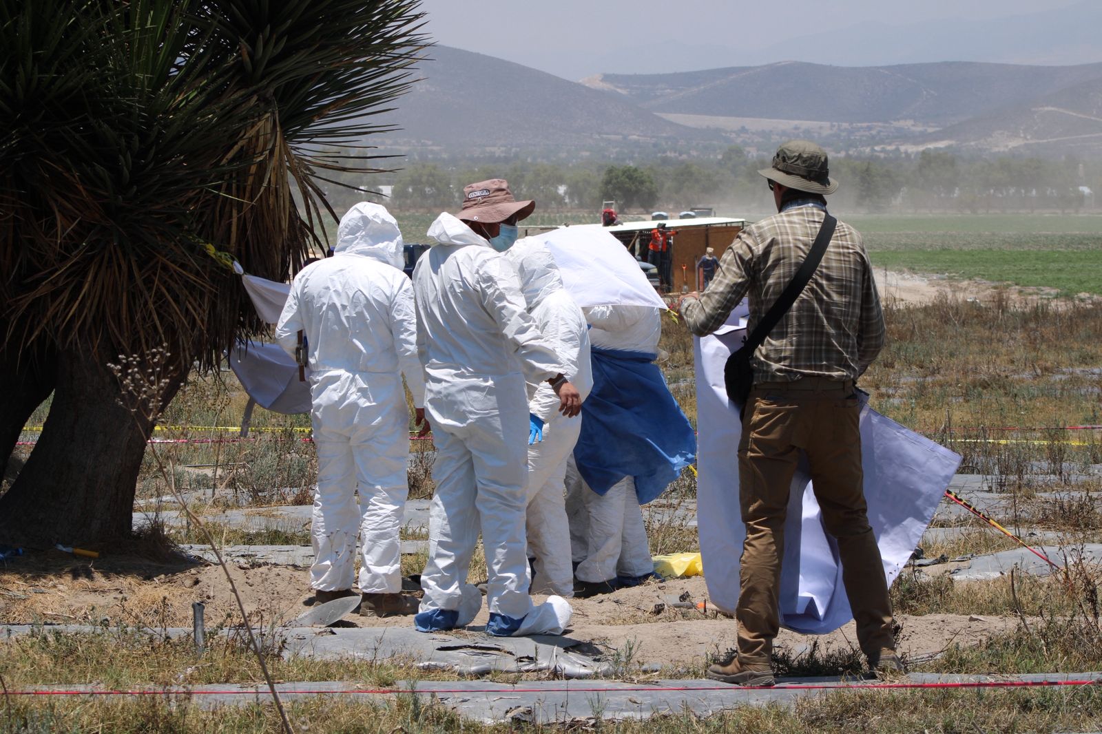 La Segob informó que el personal de la Comisión de Búsqueda de Personas y Fiscalía retomaron actividades del levantamiento de restos óseos