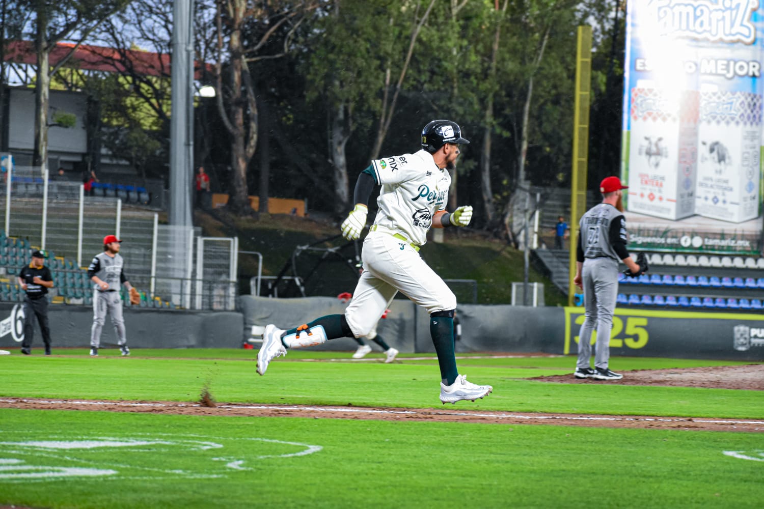 Tenerowicz conectó par de cuadrangulares y remolcó tres carreras para guiar a los Piratas de Campeche a una victoria de 9-5 sobre Pericos