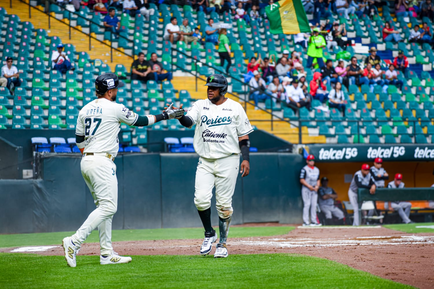 Tenerowicz conectó par de cuadrangulares y remolcó tres carreras para guiar a los Piratas de Campeche a una victoria de 9-5 sobre Pericos