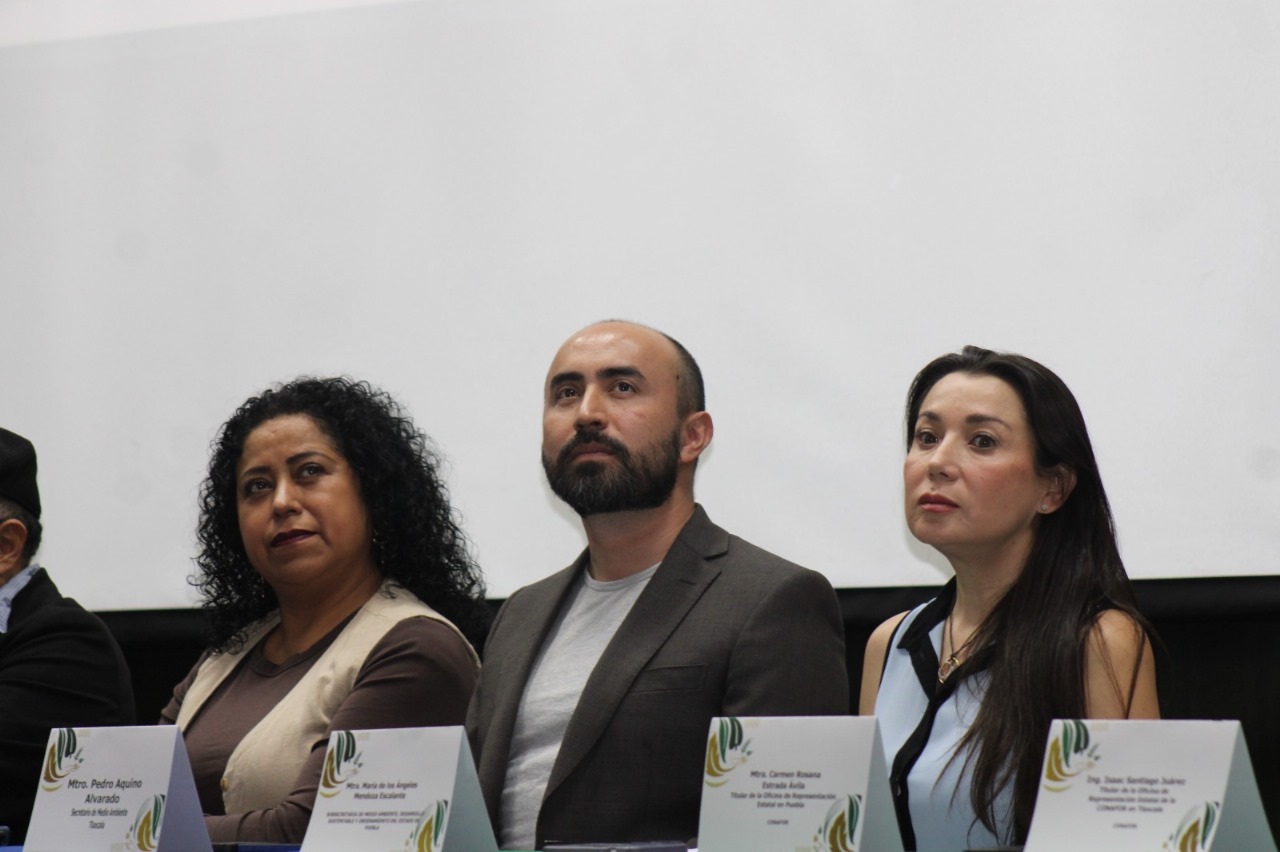 El Programa Nacional Forestal 2025-2030 apoyará a las personas en las zonas forestales para la protección de los bosques