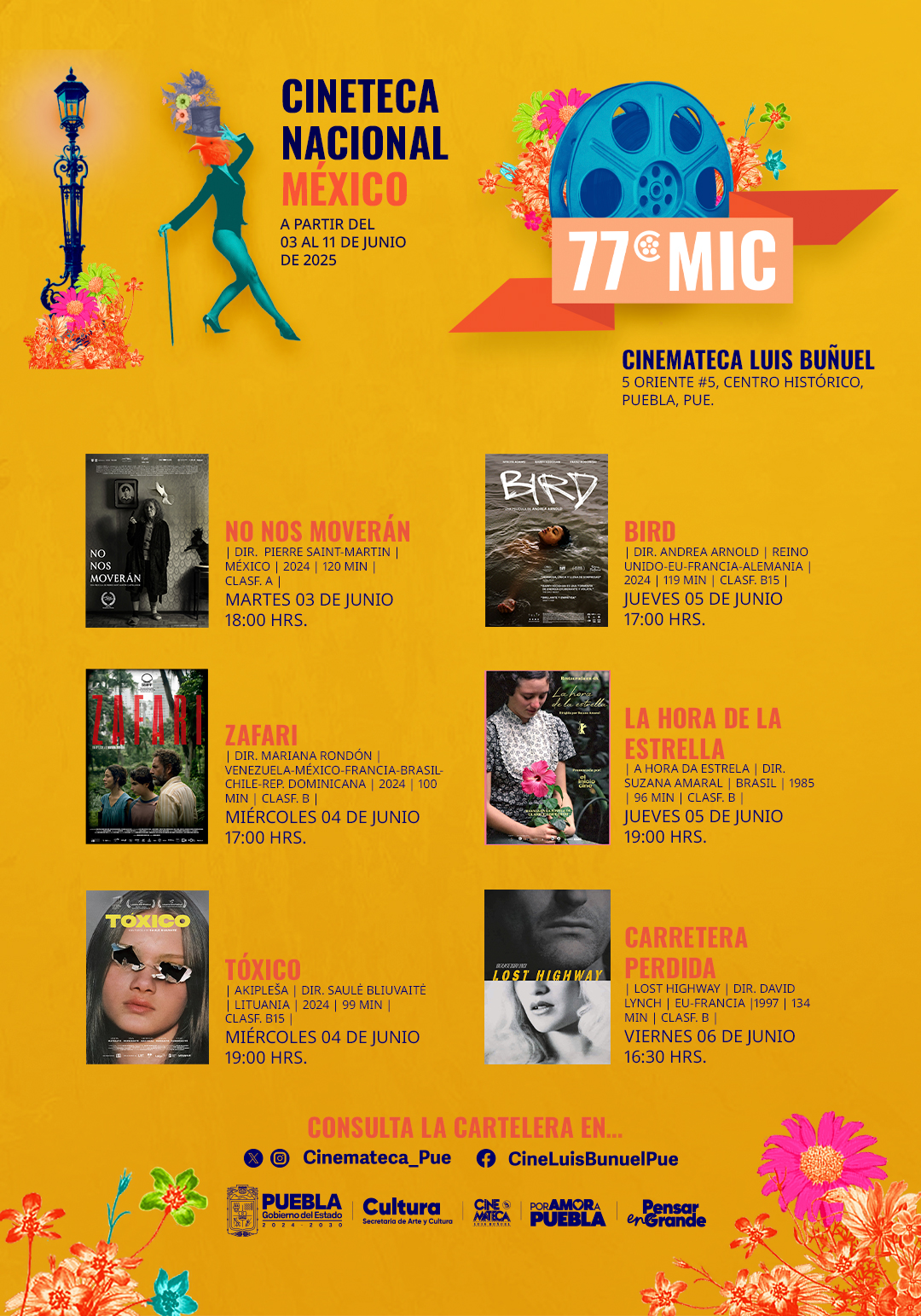 En la Muestra Internacional de Cine se proyectaran películas de México, Estados Unidos, Canadá, Venezuela, Brasil, Chile, entre otros