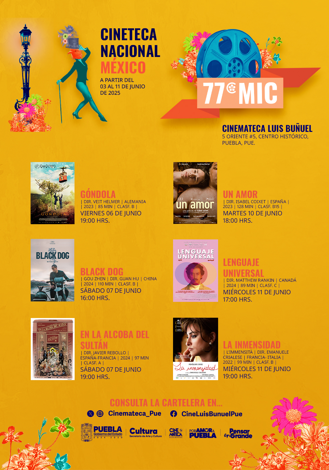 En la Muestra Internacional de Cine se proyectaran películas de México, Estados Unidos, Canadá, Venezuela, Brasil, Chile, entre otros