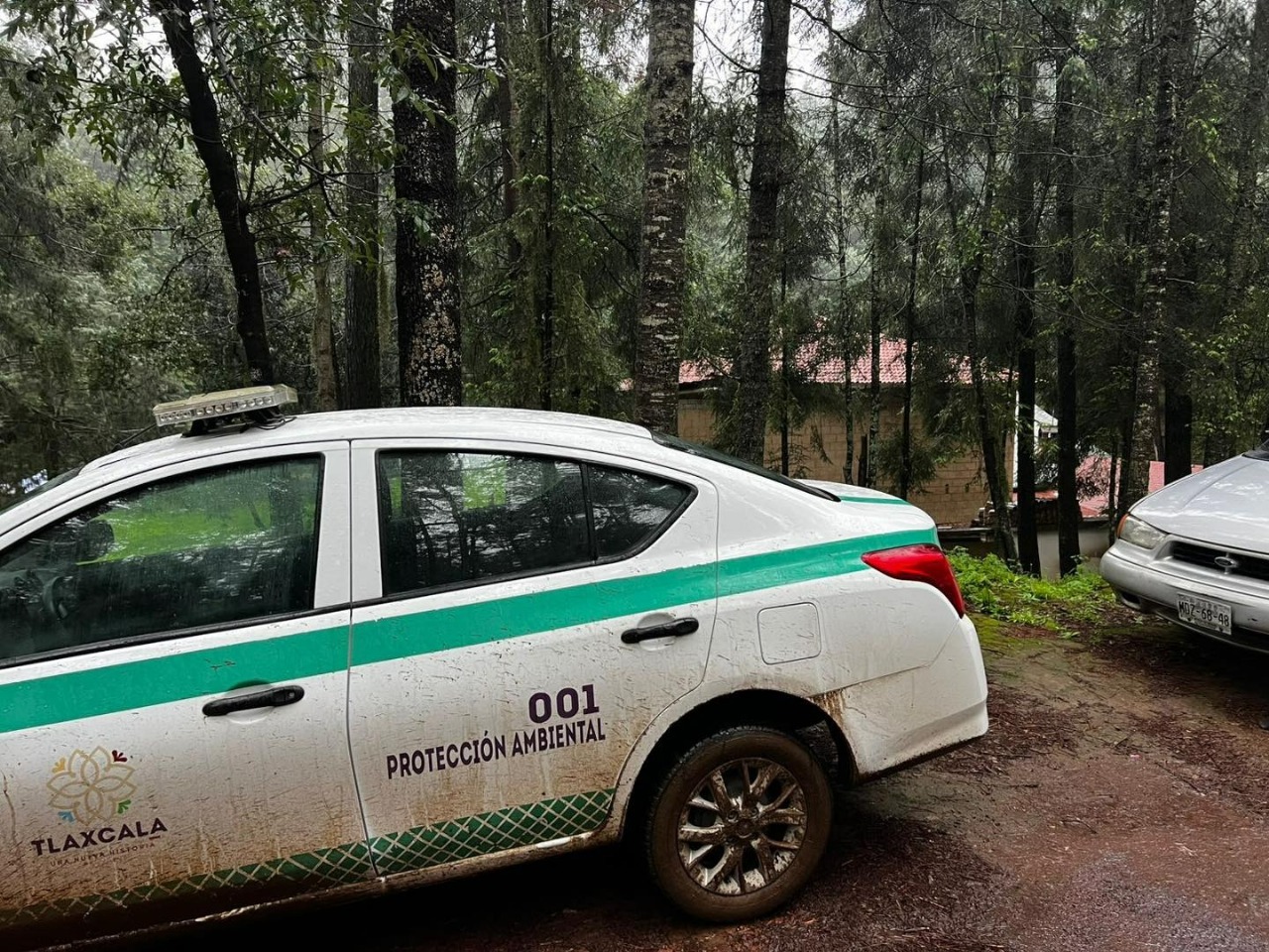 Con el inicio de la temporada de avistamiento de luciérnagas, la Propaet intensificó sus operativos de vigilancia